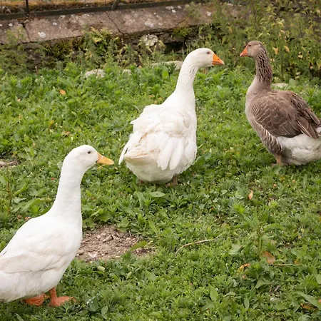 Chateau Du Perray Отель типа 
