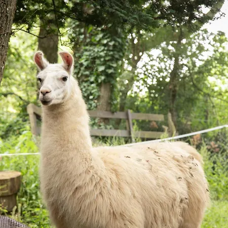Chateau Du Perray 3* Saint-Mars-du-Desert (Loire-Atlantique)