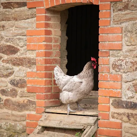 Bed & Breakfast Chateau Du Perray 4*