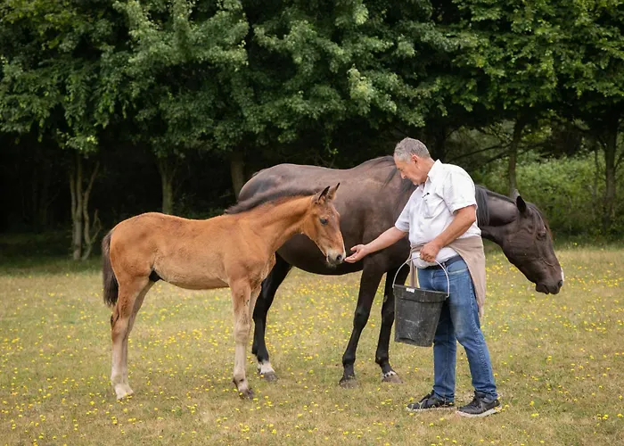 B&B Chateau Du Perray