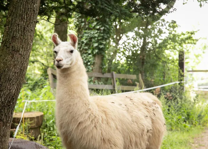 Chateau Du Perray 3* Saint-Mars-du-Désert