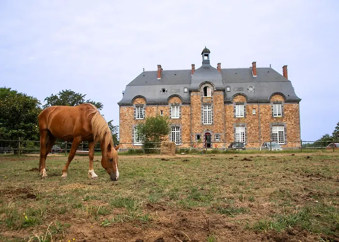 B&B Chateau Du Perray Saint-Mars-du-Désert