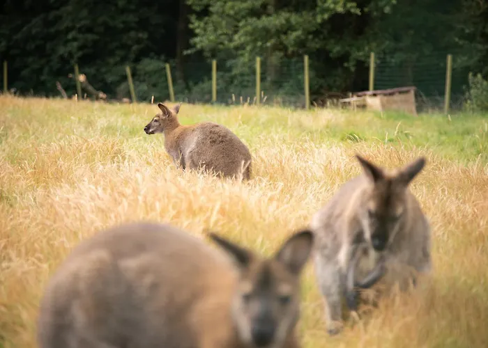 Chateau Du Perray B&B 3*